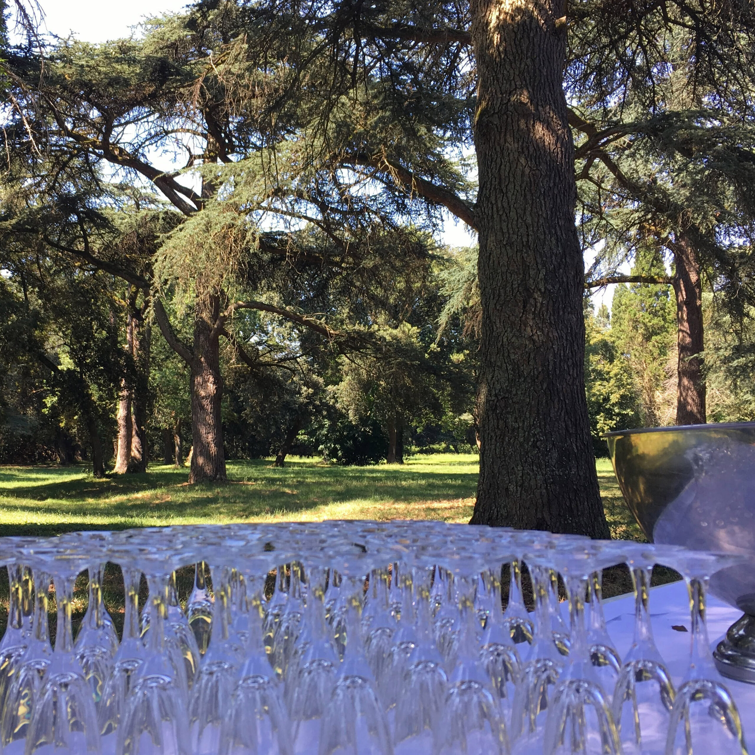 le-parc-arbore-du-domaine-du-galant-mariage-toulouse-muret